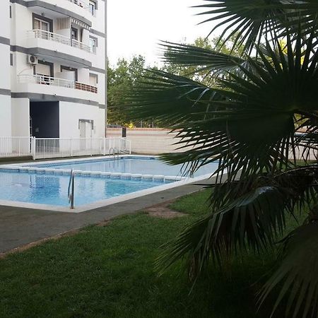 Appartement Avec Piscine San Vicente Raspeig Bagian luar foto